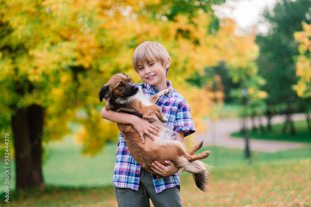Boy hugging dog and plyaing with in the fall, city park Boy hugging dog and plyaing with in the fall, city park