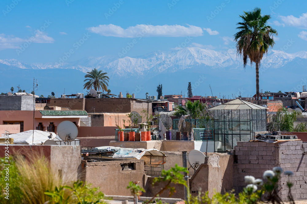 Palm tree and buildings of the city of Marrakesh in the foreground, and the Atlas Mountains in the background. Contrasts of the city, travel concept. Marrakech, Morocco
