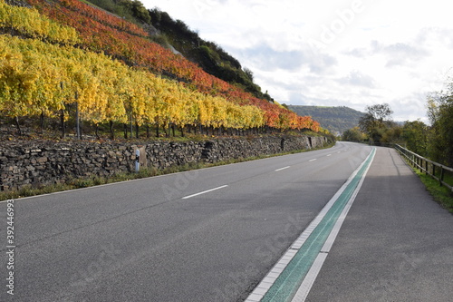 unteres Moseltal bei Kobern-Gondorf im Herbst photo