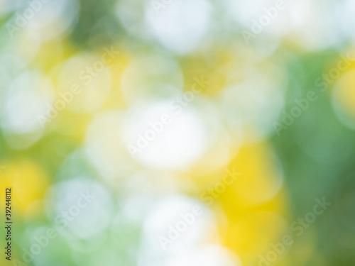 abstract bokeh blur background with reflection of sunlight over yellow flower and green leaves a beautiful nature scene  for festive and graphic design