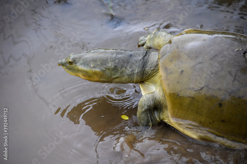 Wildlife From Wipattu