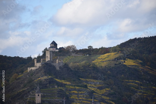 herbstliches Moseltal bei Kobern-Gondorf photo