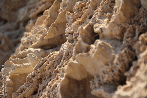 close up of a rock