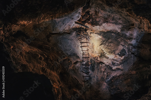 This abandoned ladder was installed in 1924 by the National Geographic Society and descends into a lower cave in the Big Room section of Carlsbad Caverns, Carlsbad Caverns National Park, New Mexico photo