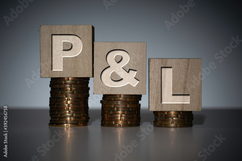 profit and loss (P&L) statement is a financial statement that summarizes the revenues, costs, and expenses