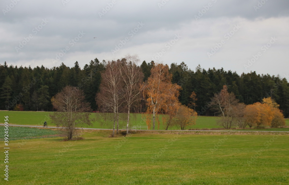Landschaft im Herbst mit Bäumen, Wiese und Fahrradfahrer auf einem Weg Landschaft im Herbst mit Bäumen, Wiese und Fahrradfahrer auf einem Weg