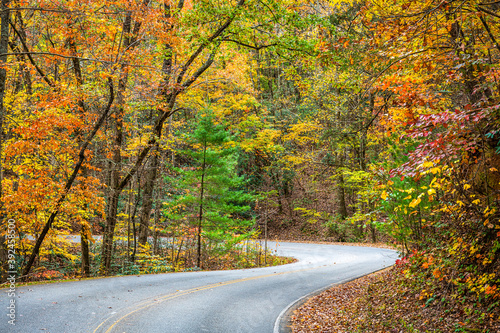 Seasonal fall foliage and roadway near Helen, Georgia, USA.