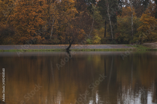 autumn trees reflected in water