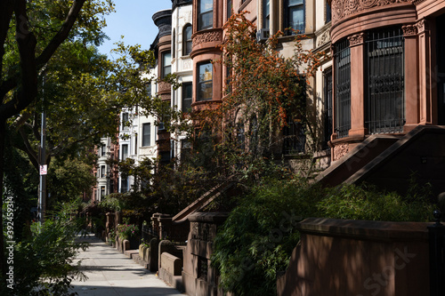 Canvas Print Row of Beautiful Old Brownstone Homes in Prospect Heights Brooklyn of New York C