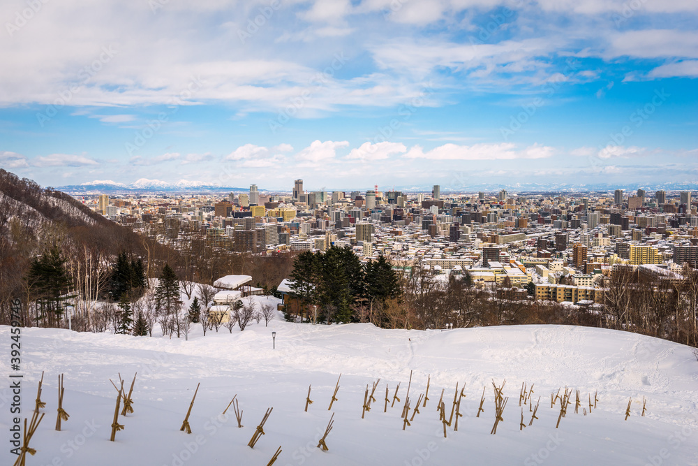 Sapporo, Japan Winter Park Skyline