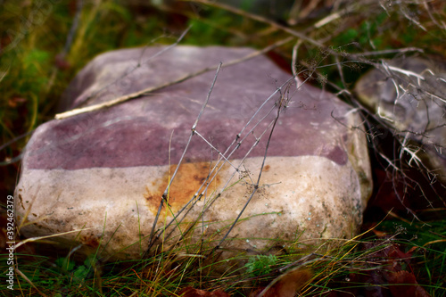 stone in the grass