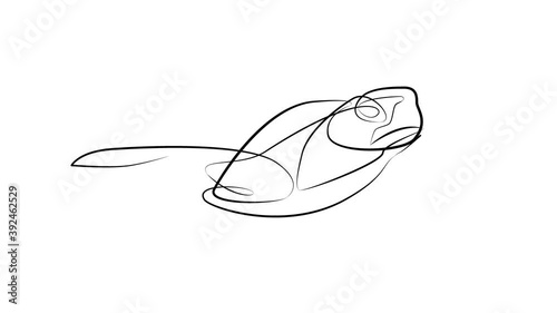 Sea turtle in one line. Black line animation on white background