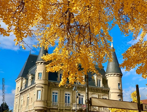 autumn in the park photo