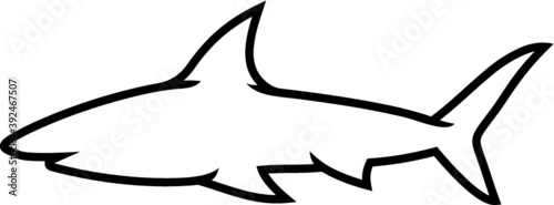 Vector illustration of the shark