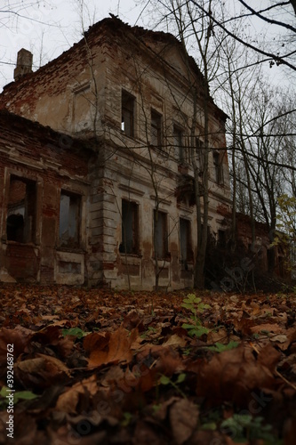 THE RUINS OF THE MANOR HOUSE NITOSLAWSKA EXPERIENCED