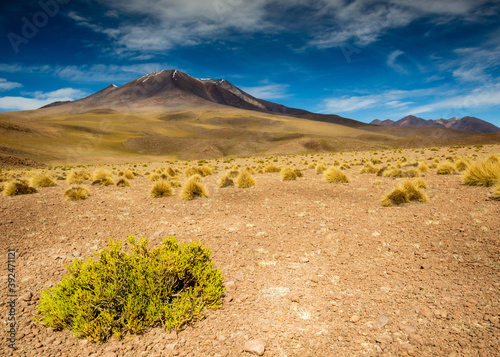 Bolivia - Mountain San Pedro de Quemes photo