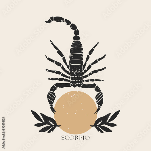 Zodiac sign Scorpio in boho style. Trendy vector illustration.