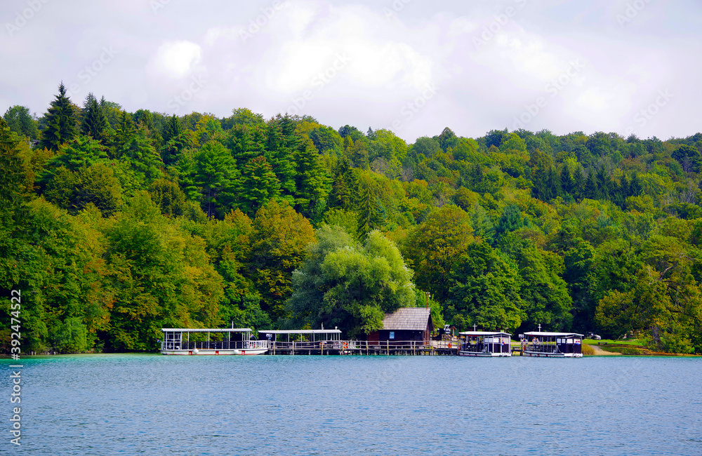 Fototapeta premium Summer landscape in Plitvice National Park, Croatia, Europe