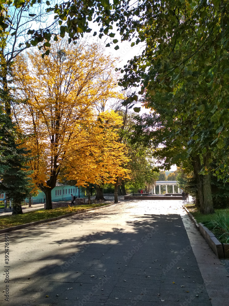 Naklejka premium autumn in the park