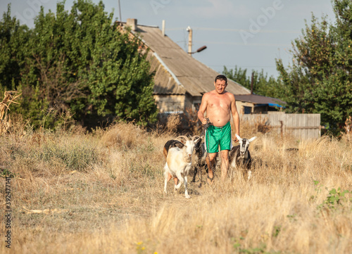 male farmer holding goats