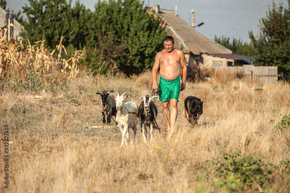 male farmer holding goats male farmer holding goats