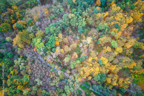 autumn forest from a height, colorful trees