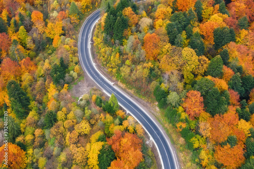 Winding road through the beautiful colorful autumn forest, aerial view