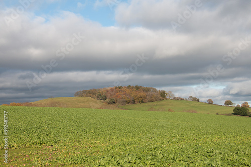 Autumn landscape scene, dark clouds gathering over Broom Hill, Shropshire, England. photo