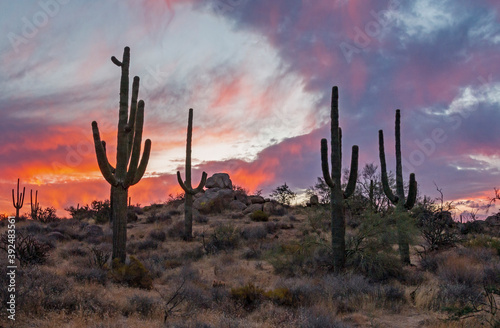 Sunrise Desert Landscape With Saguaro Cactus On Hill