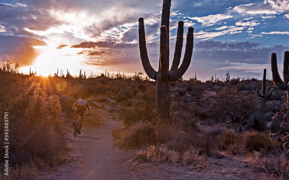 Mountain Biker Riding Up a Desert Trail In Arizona at Sunrise