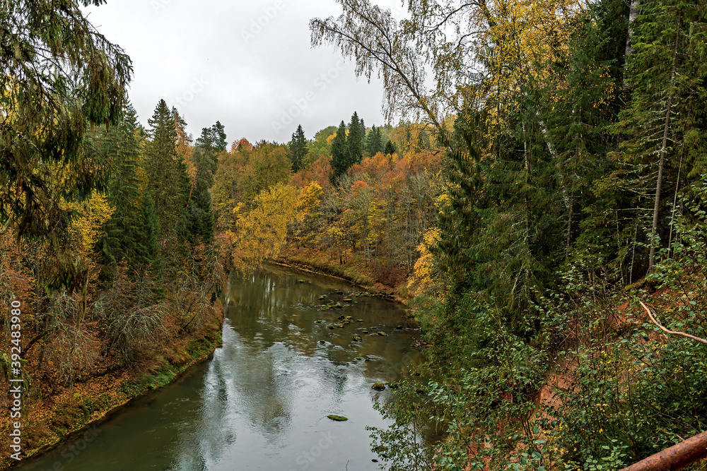 Plyussa river in autumn, Pskov region, Russia