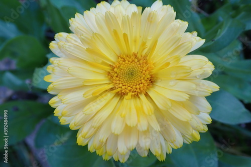 Fotografie OLYMPUS DIGITAL CAMERA