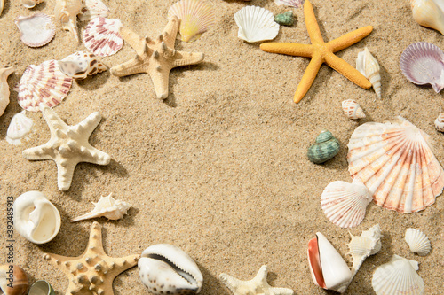 Fototapeta Closeup of different seashells on a sandy beach, a background with space for tex