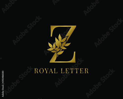 luxury decorative vintage golden royal letter Z