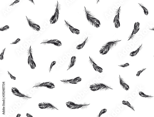 Set of bird feathers. Hand drawn sketch style. © Aleksandr