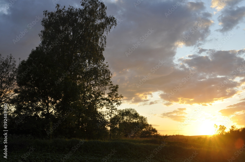 Fototapeta premium Sunset