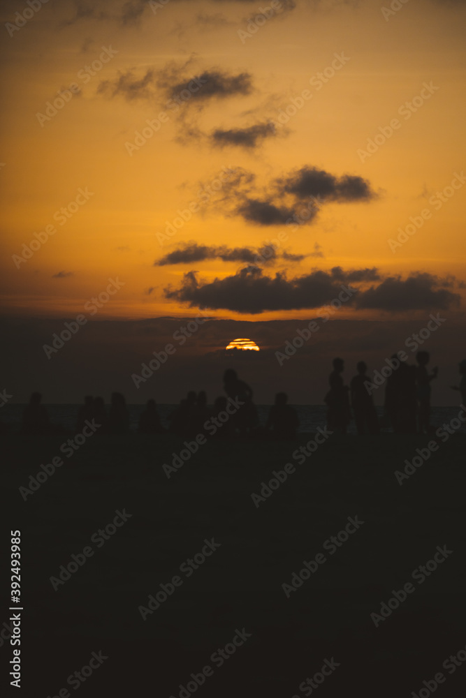Fototapeta premium Sunset Silhouettes 