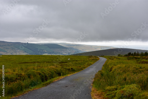 Country Road in Dublin Mountains, Ireland