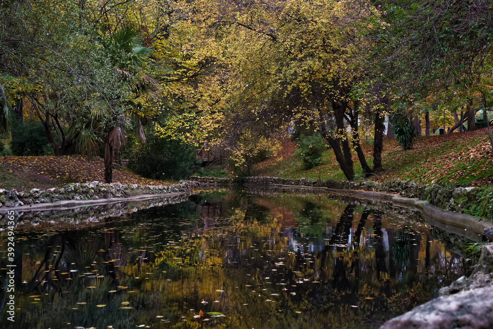 krajobraz woda park drzewa kolory natura krajobraz woda park drzewa kolory natura