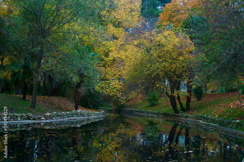 Fototapeta Naklejka Na Ścianę i Meble -  krajobraz woda park drzewa kolory natura