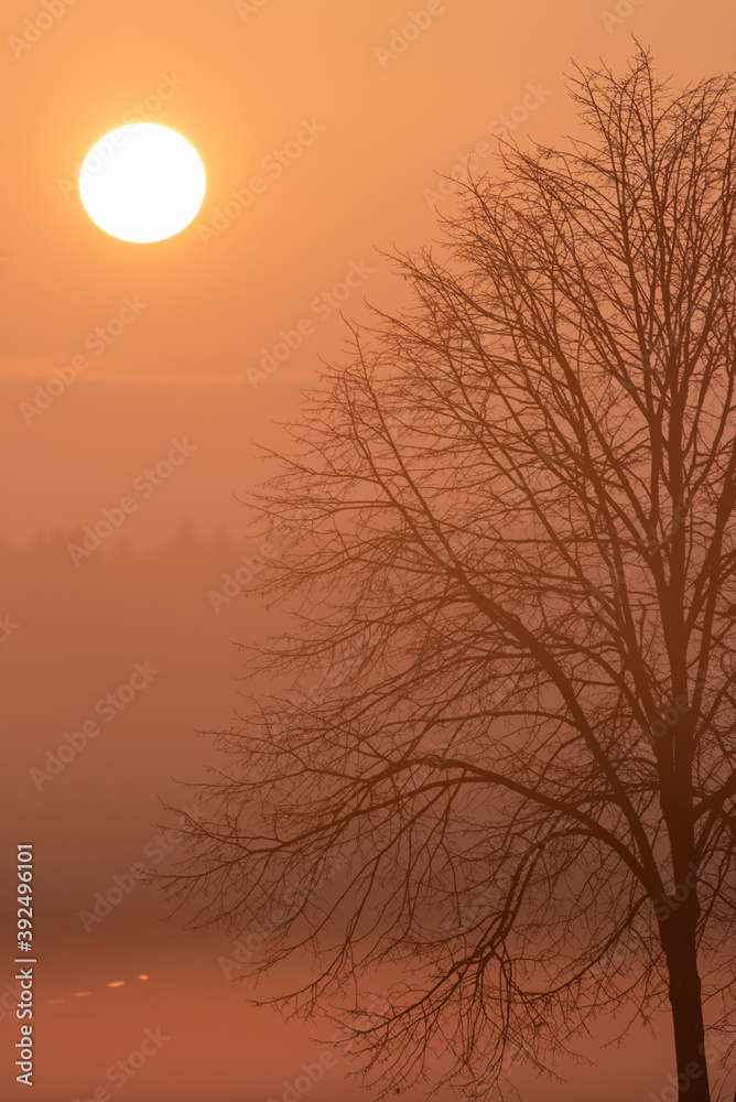 Obraz premium Abendstimmung