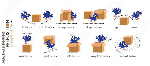 Preposition of movement. Bird and the box