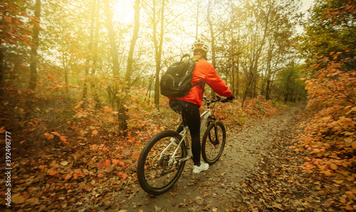 The image of unrecognizable bicycle cyclist woman in sportunition rides along forest path with reddened leaves of trees.