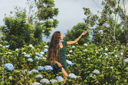Woman in green dress picking up oranges in garden with blooming hydrangeas. Gardening concept. Beauty in nature.