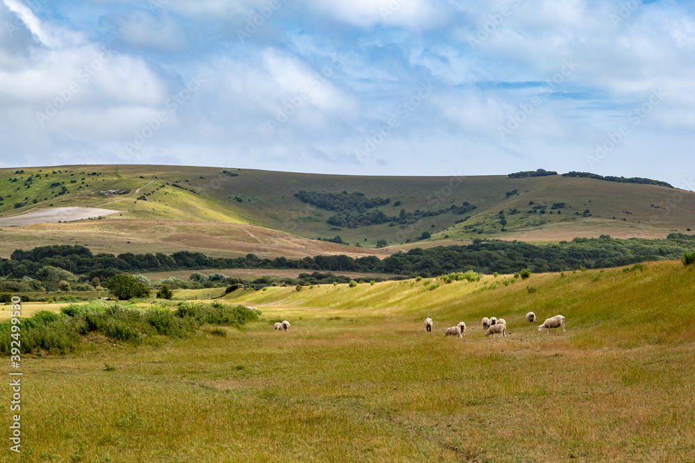 A South Downs Rural View A South Downs Rural View