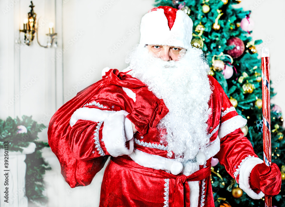 Santa Claus with a bag of gifts on the background of the Christmas tree. New year and Christmas celebrations. Russian holiday. Santa Claus with a bag of gifts on the background of the Christmas tree. New year and Christmas celebrations. Russian holiday.