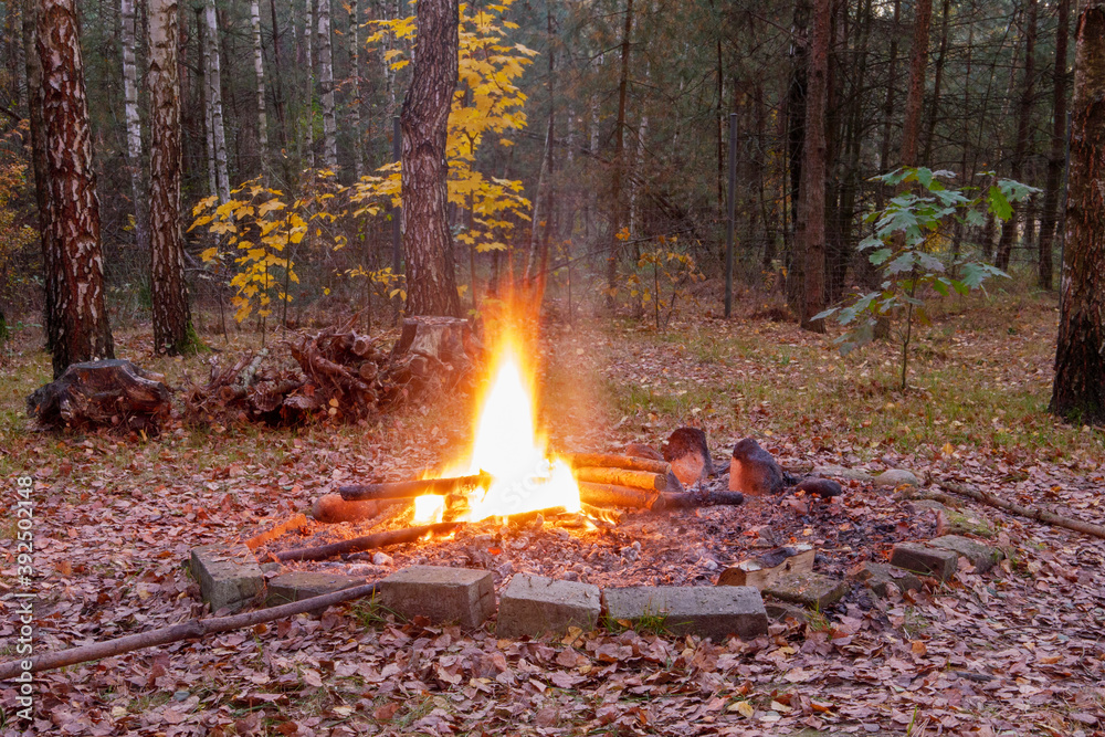 fire in the fireplace