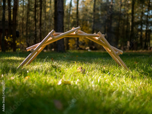 Wooden bridge of Leonardo da Vinci standing on a grassy meadow in the woods	