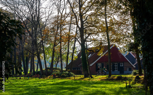 Rural landscape in autumn colors near Winterswijk, Netherlands 