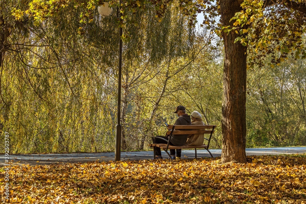 Naklejka premium Autumn story 